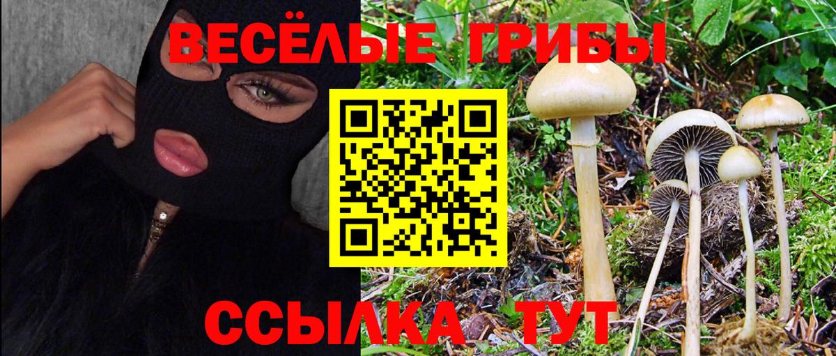 Галлюциногенные грибы прущие грибы  Вход с VPN  Бор 
