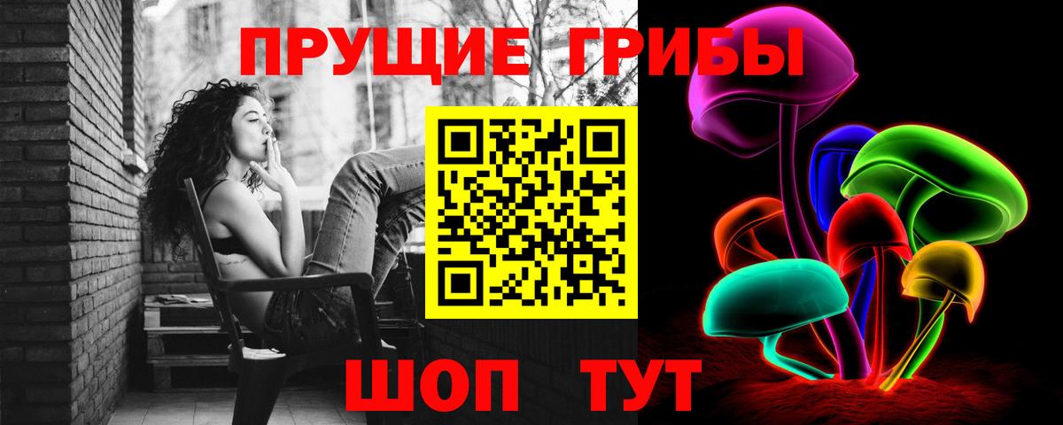 Галлюциногенные грибы Cubensis Бор
